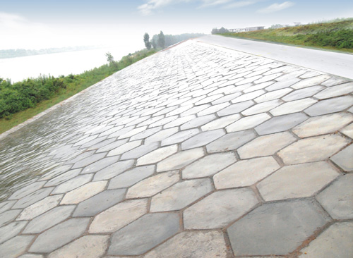 混凝土預制塊護坡（鎮橋聯圩4標）